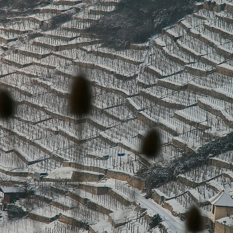 Die Rosswager Halde im Winter. Foto: Bertram Haak