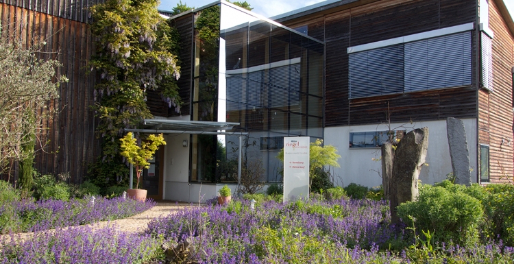 Riegel unterstützt die Ziele des Landes Baden-Württemberg zur Umsetzung des Pariser Abkommens. Foto: Riedel Bioweine