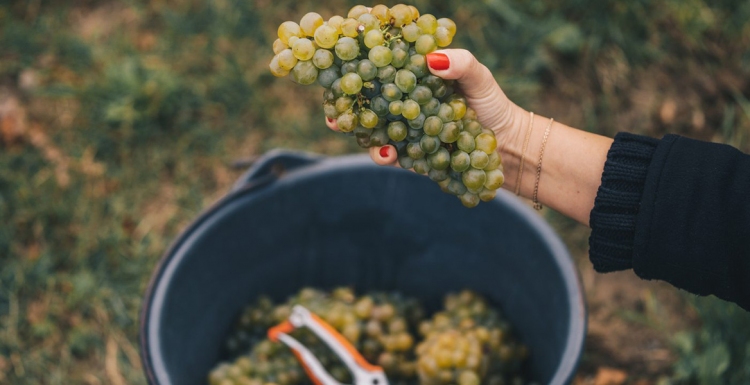 Foto: Henry Geovanne Recinos